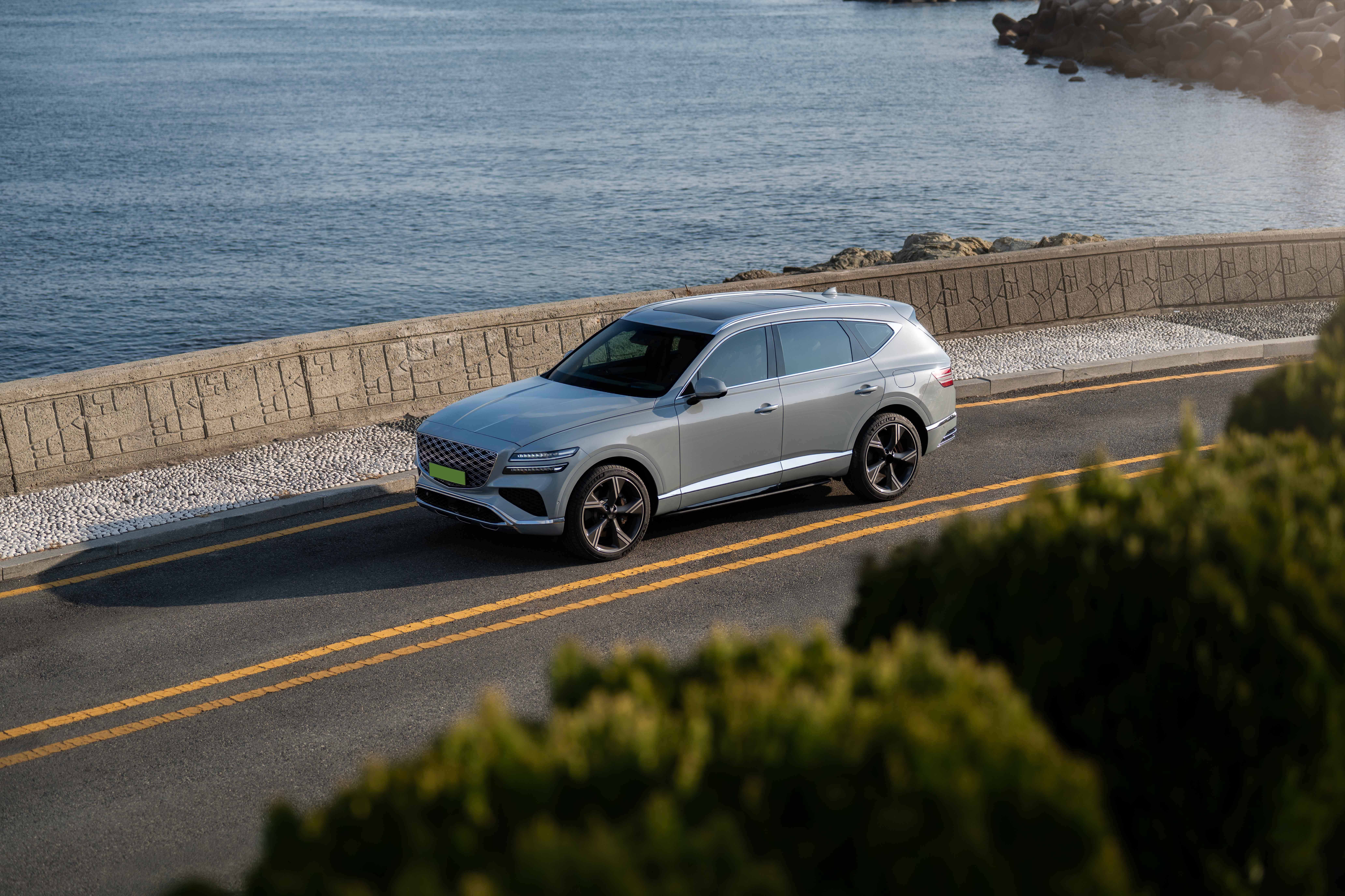 1.passenger evs