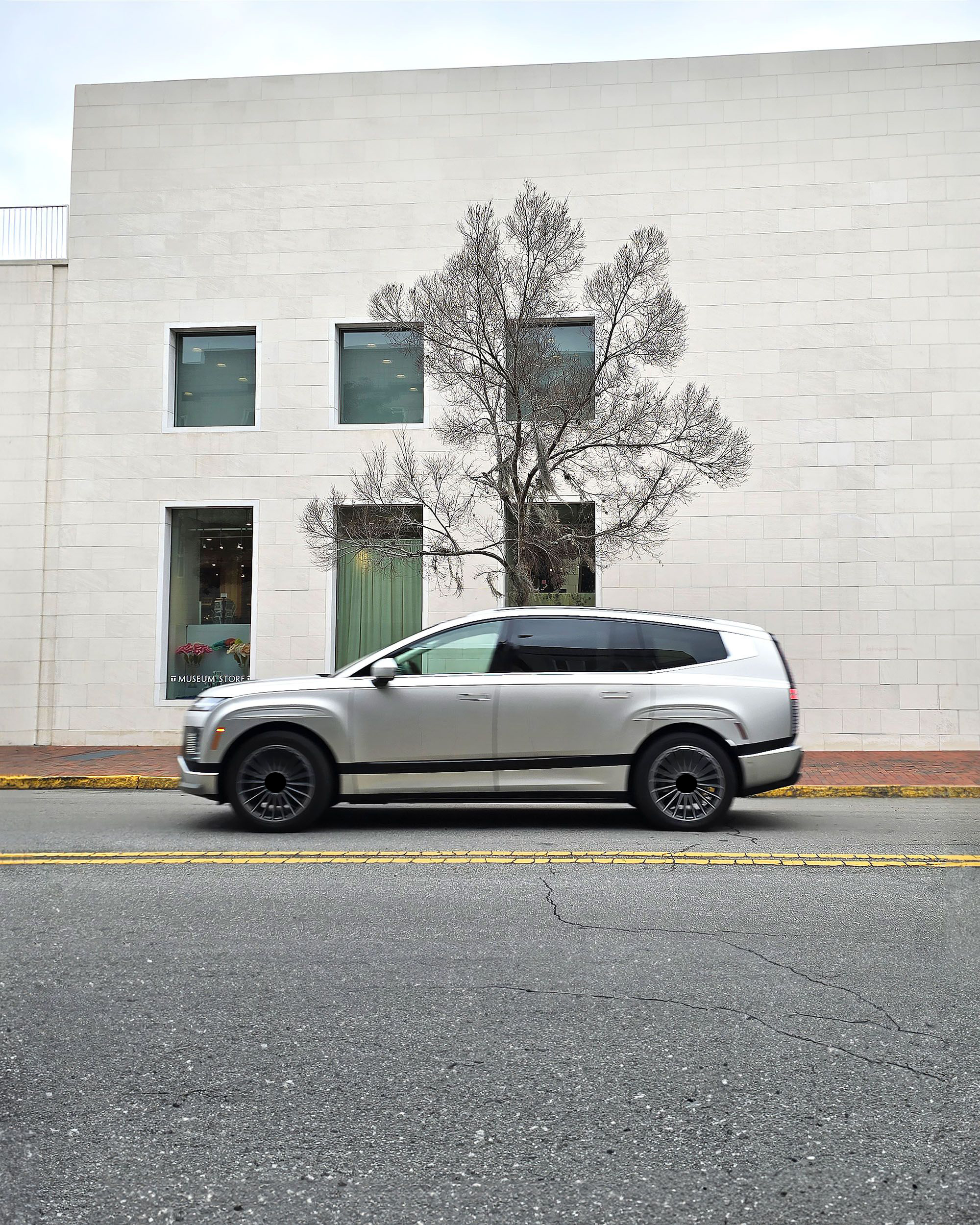 1.Passenger EVs